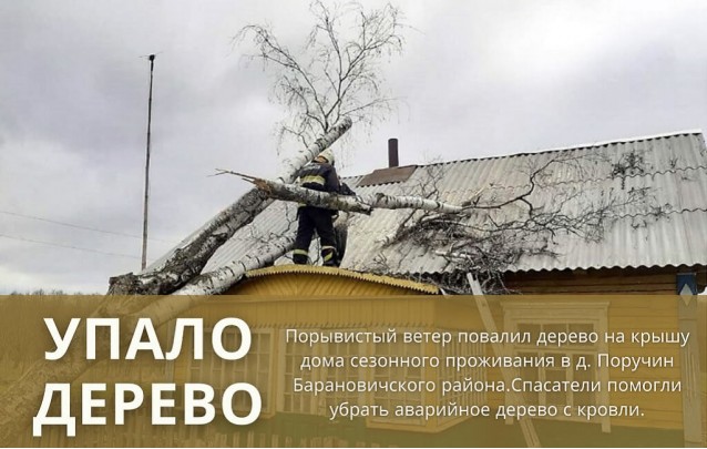 04.05.2021 Упало дерево на крышу дома
